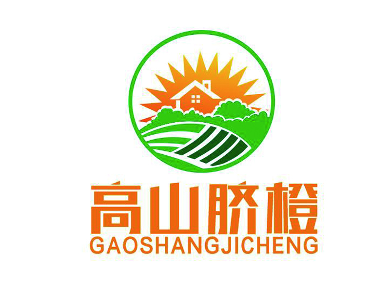 李正东的logo设计