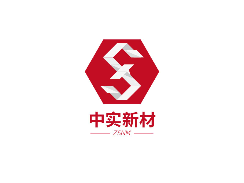 杨琴的ZSNM/中实新材/中实新材（北京）科技有限公司LOGO设计