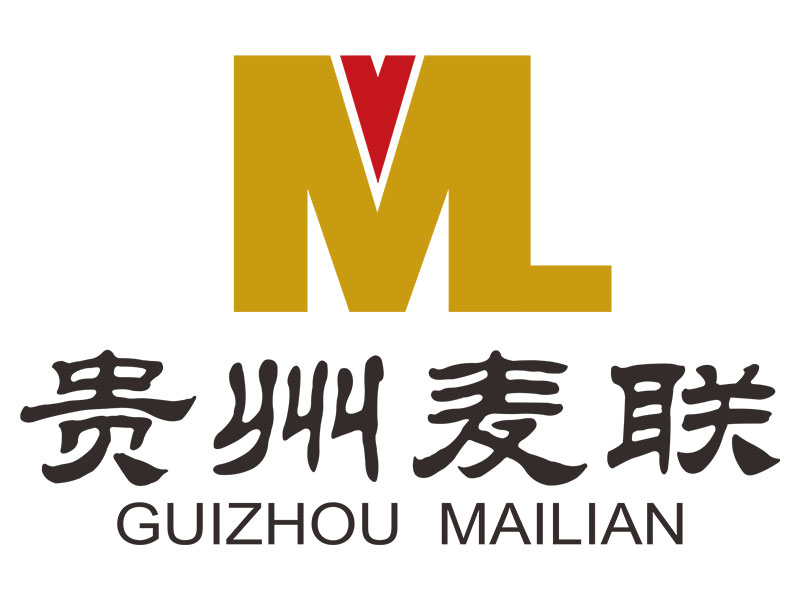 李涛的贵州麦联企业管理有限公司logo设计