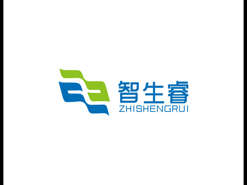 秦光华的智生睿logo设计