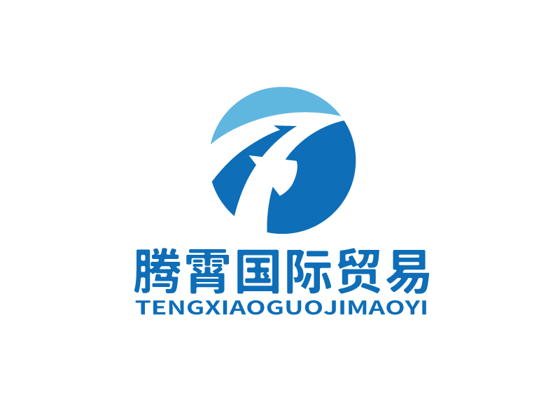 张俊的大连腾霄国际贸易有限公司logo设计