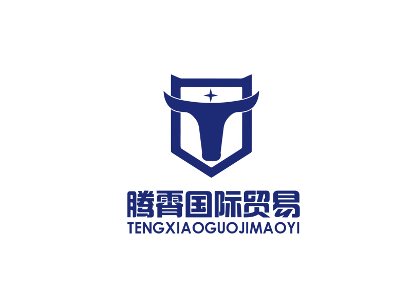 秦光华的大连腾霄国际贸易有限公司logo设计