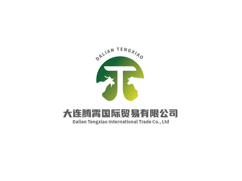大连腾霄国际贸易有限公司logo设计