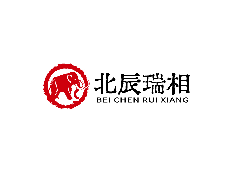 张俊的北辰瑞相logo设计