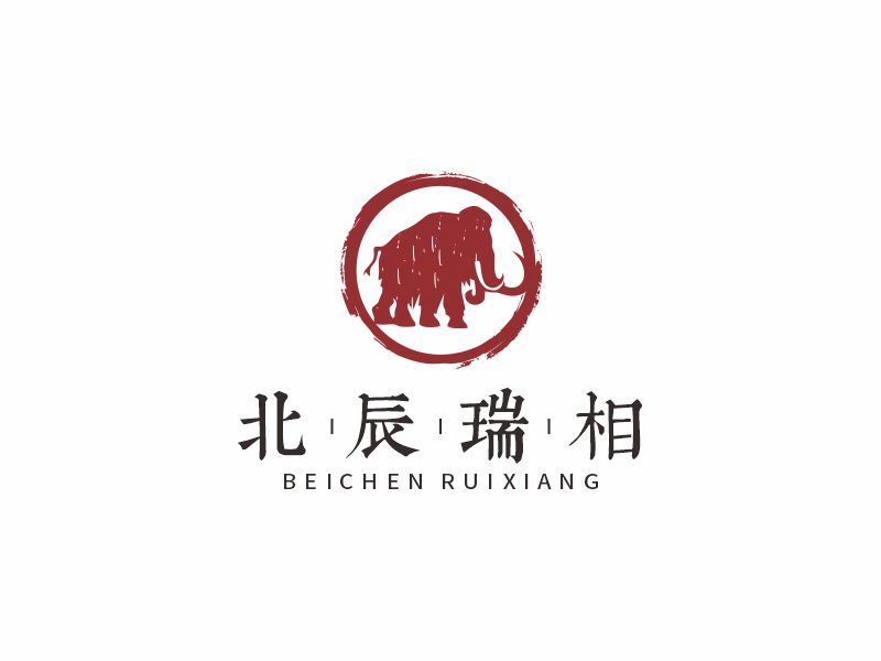 何嘉健的北辰瑞相logo设计