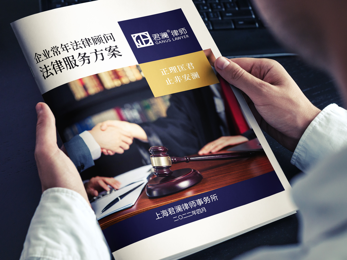 宣传资料（13页）logo设计