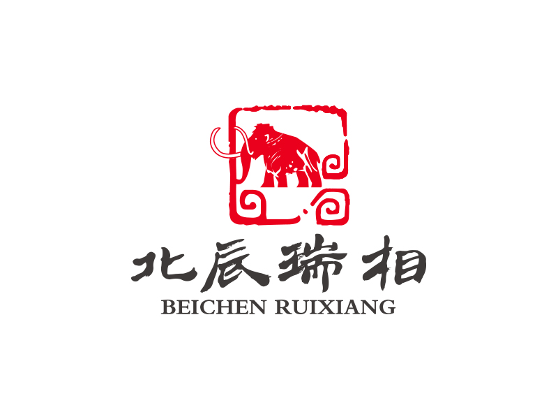 秦晓东的北辰瑞相logo设计