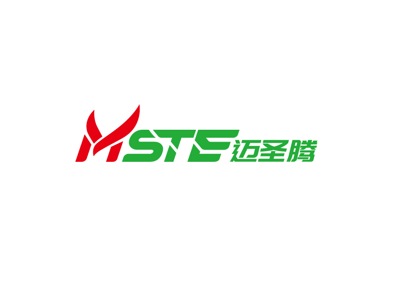 张俊的MSTE 迈圣腾logo设计
