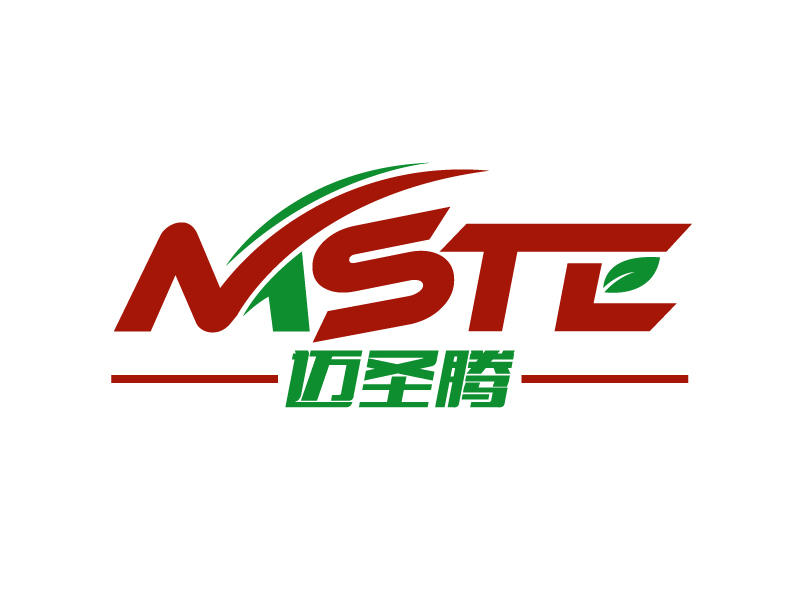 晓熹的MSTE 迈圣腾logo设计
