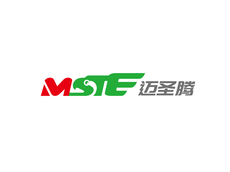 张俊的MSTE 迈圣腾logo设计