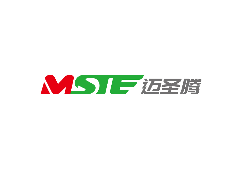 张俊的MSTE 迈圣腾logo设计