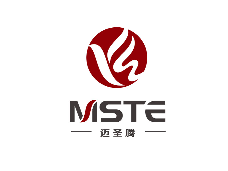 朱红娟的MSTE 迈圣腾logo设计