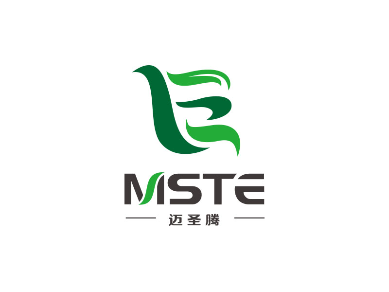 朱红娟的MSTE 迈圣腾logo设计