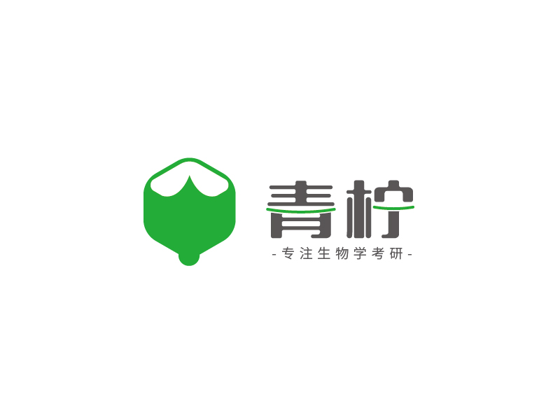 陆昌伟的青柠logo设计