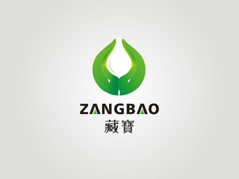 刘春林的藏宝logo设计