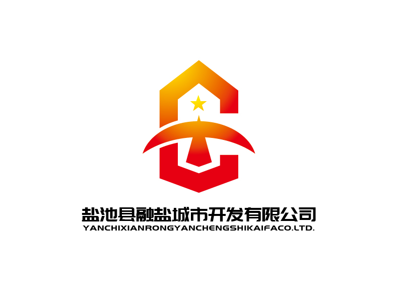 张俊的盐池县融盐城市开发有限公司logo设计