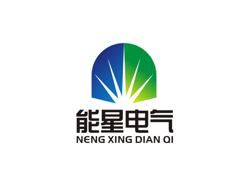 李泉辉的武汉能星电气有限公司logo设计