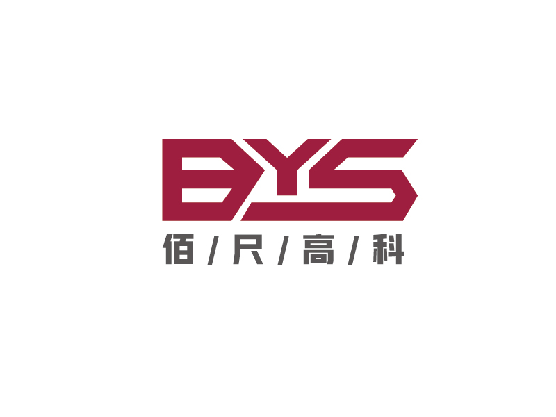 李宁的BYS ----佰尺高科(北京)科技有限公司logo设计