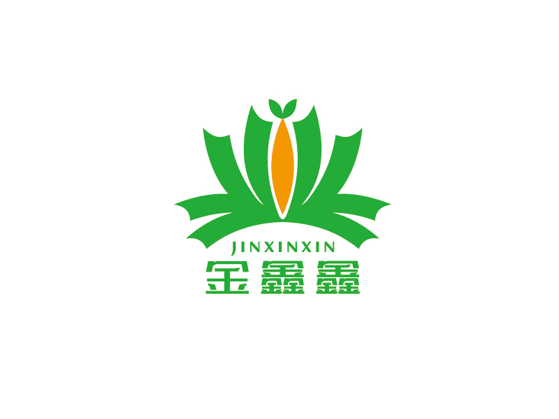 李宁的金鑫鑫logo设计