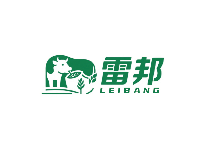 秦光华的雷邦logo设计