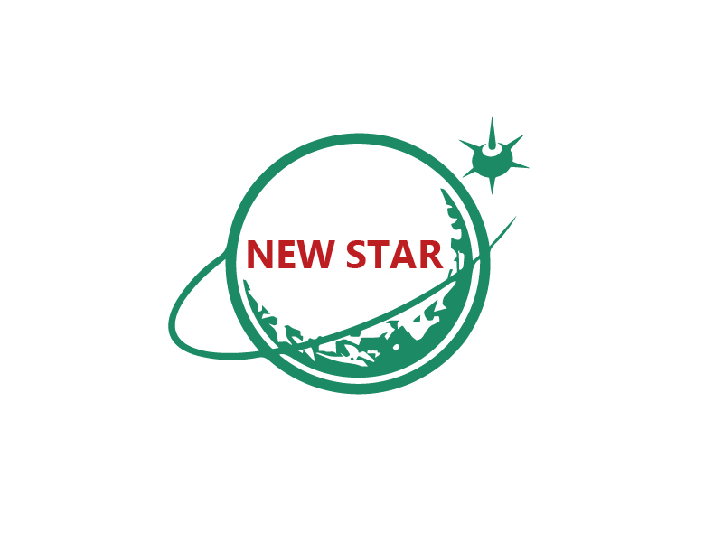 秦光华的新星logo设计