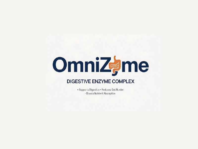 秦光华的logo设计