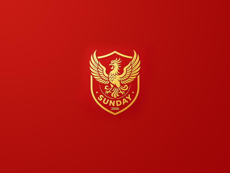余亮亮的sunday足球队队徽logo设计