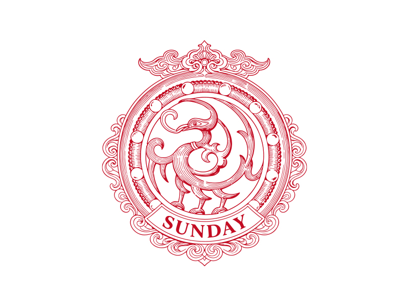 孙金泽的logo设计